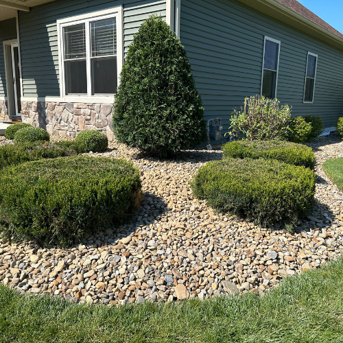 trimming and mulch