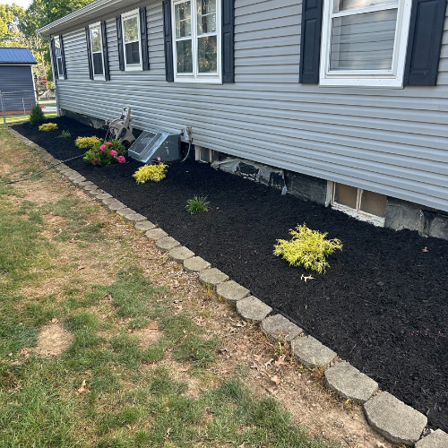 shrub installation